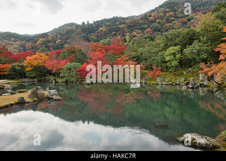 Herbstlaub in voller Farbe im Garten Sogen Tenryu-Ji-Tempel, Kyoto, Japan Stockfoto