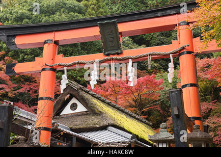 Stroh Dach, Schrein und Herbstlaub, Arashiyama, Kyoto, Japan Stockfoto