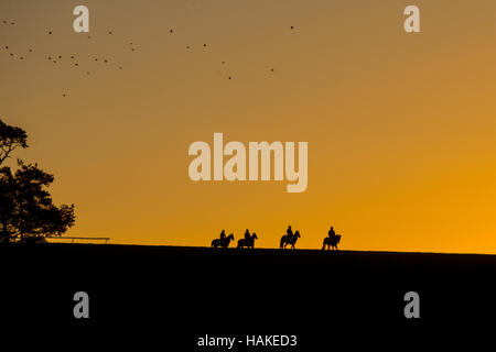 Rennen Sie Pferde, bei Sonnenaufgang auf Newmarket Galoppaden in Suffolk am Donnerstagmorgen (5. Januar) nach der kältesten Nacht des Winters. Stockfoto