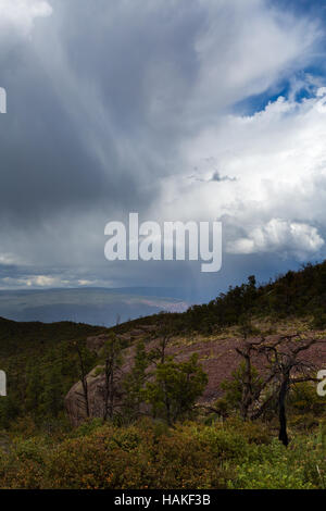 Regenschauer fallen über die Wüste Hochgebirge der Mazatzal Mountains. Mazatzal Wildnis, Arizona Stockfoto