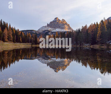 Tre Cime di Lavaredo spiegelt sich in Lago d'Antorno bei Sunrise, Misurina, Cadore, Belluno Bezirk, Veneto, Dolomiten, Italien Stockfoto