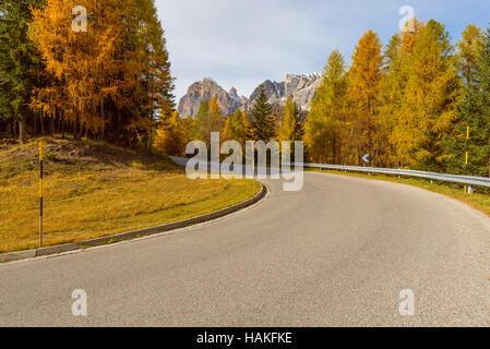 Bergstraße mit Lärchen im Herbst, Passo di Falzarego, Cortina d ' Ampezzo, Veneto, Dolomiten, Italien Stockfoto