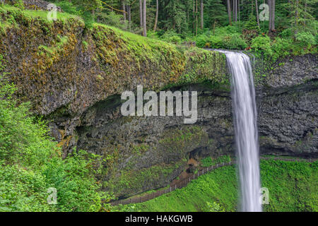 USA, Oregon, Silver Falls State Park, Frühling Fluss der South Fork Silver Creek stürzt 177 Füße im Süden fällt. Stockfoto