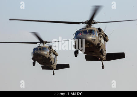 Zwei amerikanische Armee Blackhawk-Hubschrauber landen. Stockfoto