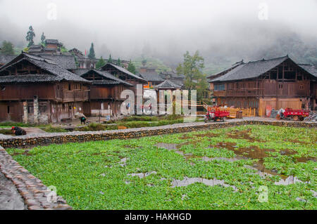 Die Huanggang Dong-Dorf in der chinesischen Provinz Guizhou ist ein interessantes kulturelles Ziel. Wasserhyazinthen im Teich. Stockfoto