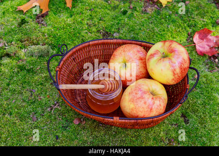 Honig in einem Glas mit Blumen Nektarpflanzen Kräuter und im Herbst Äpfel Stockfoto