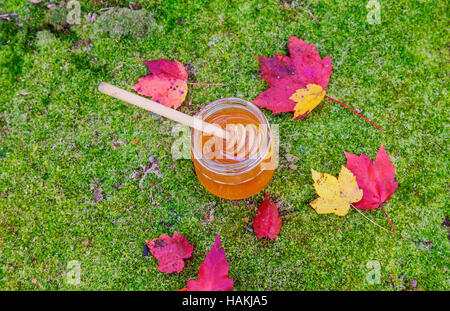 Honig in ein Glas mit Blumen Nektarpflanzen Kräuter auf der Holzoberfläche. Stockfoto