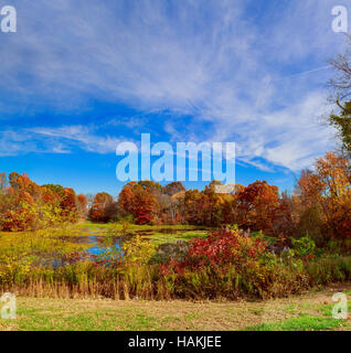 Bunte Herbstlandschaft im Dorf. Ukraine, Europa. Stockfoto