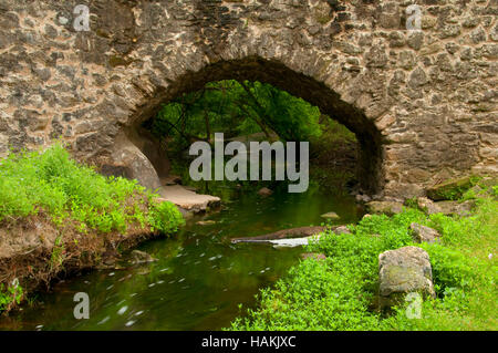 Espada Aquädukt, San Antonio Missionen nationaler historischer Park, Texas Stockfoto