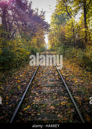 Eisenbahn Schienen im Herbst mit Sonnenschein als vackground Stockfoto