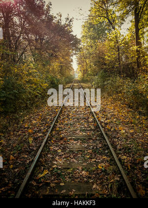 Eisenbahn Schienen im Herbst mit Sonnenschein als vackground Stockfoto