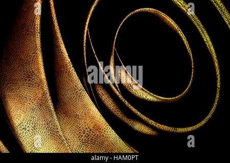 abstrakte Muster in Form einer Spirale Struktur von braunem Lederfarbe schwarz Stockfoto