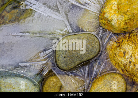 Eiskristalle im Teich Stockfoto