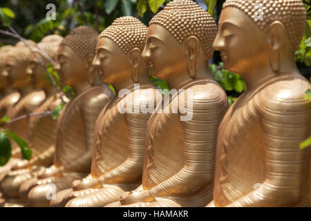 Goldenen Buddha-Statuen, Zeile des sitzenden Buddhas, Weherahena Tempel, Matara, südlichen Provinz, Sri Lanka Stockfoto