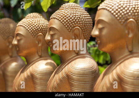 Goldenen Buddha-Statuen, Zeile des sitzenden Buddhas, Weherahena Tempel, Matara, südlichen Provinz, Sri Lanka Stockfoto