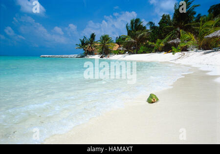 Blauer Himmel, türkisfarbenes Meer, weißer Sand, Summer Island Village, Nord Male Atoll, Malediven, Indischer Ozean Stockfoto