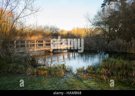 Fußgängerbrücke über den Fluss Test, Longparish, Hampshire, UK im Spätherbst Stockfoto