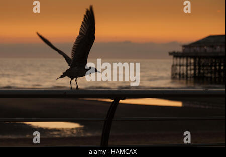 Blackpool Strand Centrlal pier Stockfoto