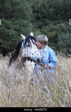 Kruppe Marchador Hengst Stockfoto