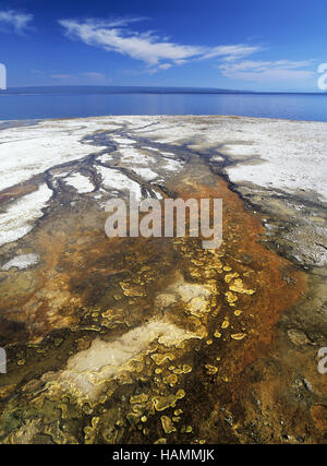 West Thumb Geyser Stockfoto