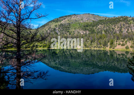 Ein kleiner See auf dem man Lehrpfad durch den Yellowstone National Park in Wyoming USA Stockfoto