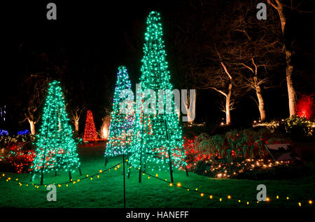 Weihnachtslichter in Form von Weihnachtsbäumen im van Dusen Botanical Gardens in Vancouver. Stockfoto