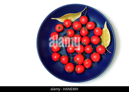 Auf der blauen Platte sind die roten Beeren von Weißdorn. Auf weißem Hintergrund dargestellt. Die Aussicht von oben. Stockfoto
