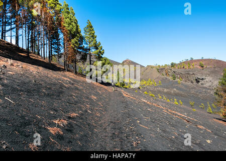 Schuss von der berühmten trekking eingeschlagene "Ruta de Los Vulkane", im Süden von La Palma in der Nähe Los Canarios. In der Ferne geht ein Wanderer den Weg. Stockfoto