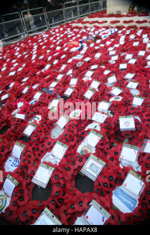 England, London, The Poppy Kränze für British gelegt Soldaten verstorbenen während der großen Kriege. Stockfoto