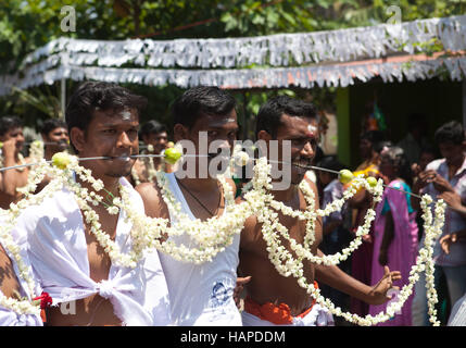 Thaipusam oder Thai Poosam Kavady Festival in der Nähe von Kochi, Kerala, Indien. Stockfoto