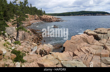 Felsige Küste in Maine Stockfoto