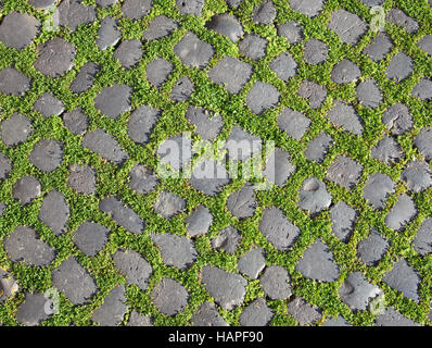 Die Details des grünen Weges. Stockfoto