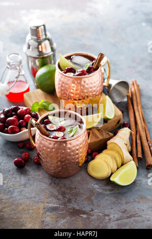 Moscow Mule mit Ingwer und Cranberry cocktail Stockfoto