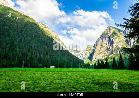 Park am Dolomiten Passo Staulanza ein Pecol (Zoldo Alto), Italien. Stockfoto