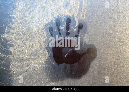 Eindruck von Hand schmolz in Raureif auf Gewächshaus Fenster teilweise Überlagerungen gefrorenen Spinnennetz. Stockfoto