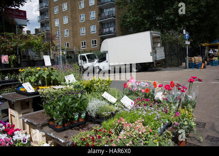 Einen Marktstand in East Street SE17, London, Verkauf von Blumen, Pflanzen und Kräutern. In der Vergangenheit als The Lane, populär bekannt mit lokalen Stockfoto