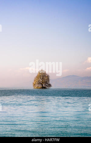 Eine britische Soverenty in der Mitte der kleinen Insel des Genfer Sees war ein Geschenk der Königin von der Schweizer Regierung. Stockfoto