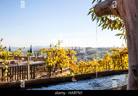 Hölzerne Brunnen mit frischem klarem Wasser im Garten mit Weinreben und Terrasse auf der Rebe Route in Steiermark, Österreich Stockfoto