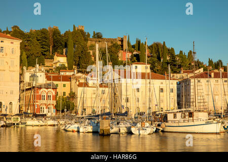 Am Abend Sonnenlicht auf Marina, der Gebäude und der alten Stadtmauer, Piran, Primorska, Slowenien Stockfoto