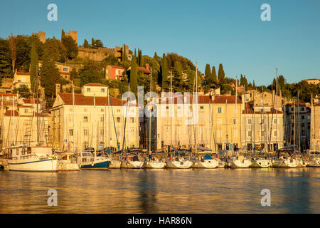 Am Abend Sonnenlicht auf Marina, der Gebäude und der alten Stadtmauer, Piran, Primorska, Slowenien Stockfoto