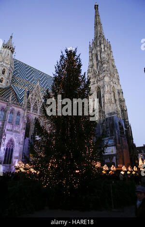 Wien, Österreich. 2. Dezember 2016. Der Weihnachtsbaum vor dem Stephansdom in Wien abgebildet ist. Das Leben in Wien setzt sich in normaler Gangart im Advent, zwei Tage vor der Wiederholung der österreichischen Präsidentschaftswahl. © Michael Debets/Pacific Press/Alamy Live-Nachrichten Stockfoto