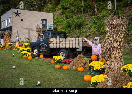 Ein am Straßenrand Herbst-Kürbis-Display in der Nähe von Charleston, West Virginia, USA. Stockfoto