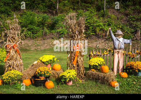 Ein am Straßenrand Herbst-Kürbis-Display in der Nähe von Charleston, West Virginia, USA. Stockfoto