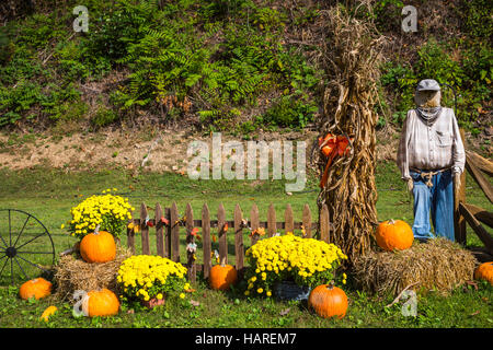 Ein am Straßenrand Herbst-Kürbis-Display in der Nähe von Charleston, West Virginia, USA. Stockfoto