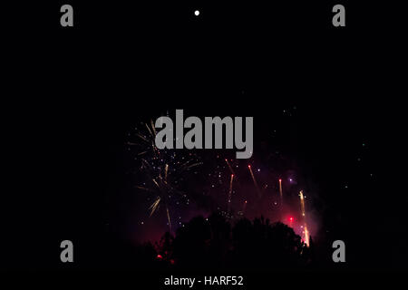 Blau und gold Feuerwerk hinter einer Kiefer Baum Silhouette, steigt von einem Dunst von Rauch, Violet zu Rakete in Richtung einer hellen Vollmond Stockfoto