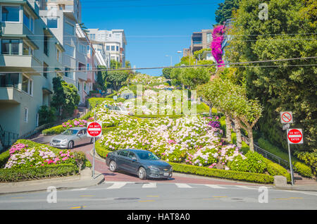 San Francisco, CA, USA - 24. Juni 2015: Lombard Street ist eine Ost-West-Straße in San Francisco, Kalifornien. Die Straße ist als die meisten krummen St bekannt. Stockfoto