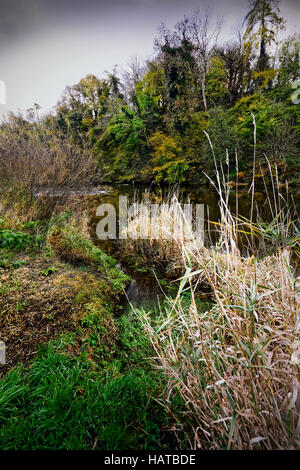 Herefordshire Landschaft wurde von Brian Hatton jetzt erlebt vom Wanderweg der Hatton unter freiem Himmel neben der Wye gemalt. Stockfoto