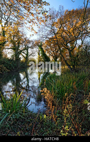 Herefordshire Landschaft wurde von Brian Hatton jetzt erlebt durch die Hatton Wanderweg am Viehtreiber Pool gemalt. Stockfoto