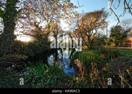 Herefordshire Landschaft wurde von Brian Hatton jetzt erlebt durch die Hatton Wanderweg am Viehtreiber Pool gemalt. Stockfoto