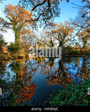 Herefordshire Landschaft wurde von Brian Hatton jetzt erlebt durch die Hatton Wanderweg am Viehtreiber Pool gemalt. Stockfoto